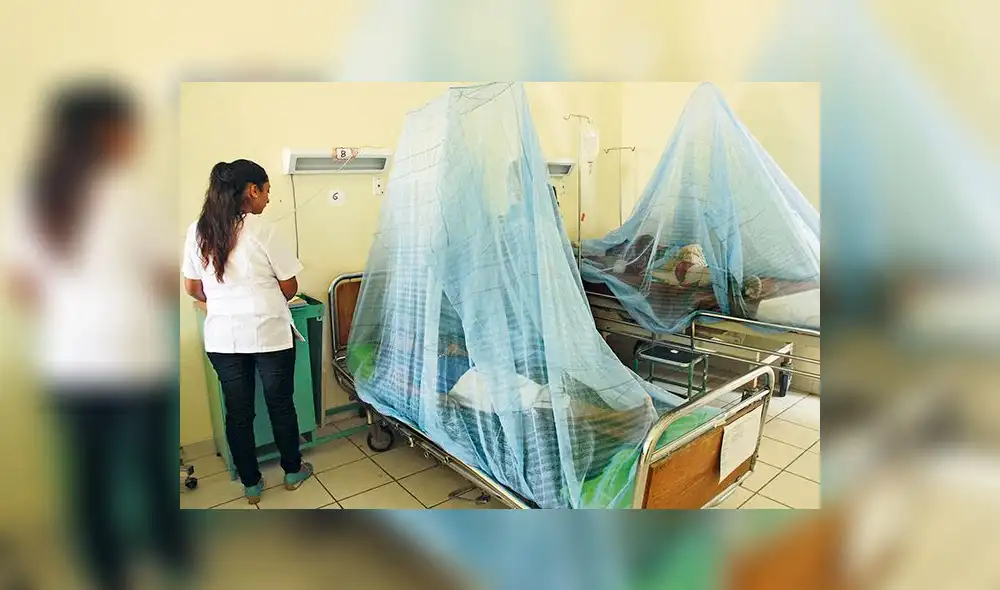 Piura: sector Salud confirma tres muertes más por dengue, entre ellas una gestante 