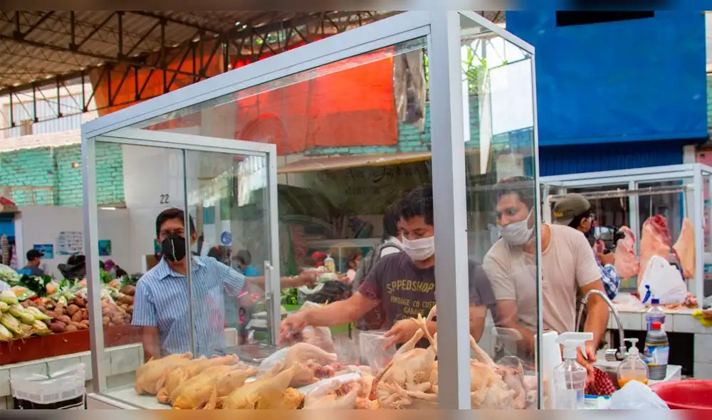 coronavirus coronavirus