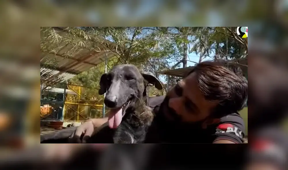 Desliza hacia la izquierda para ver las imágenes del viral de Facebook. Foto: Captura. Desliza hacia la izquierda para ver las imágenes del viral de Facebook. Foto: Captura.
