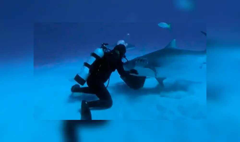 Desliza la imagen de YouTube para verlas todas. Foto: captura