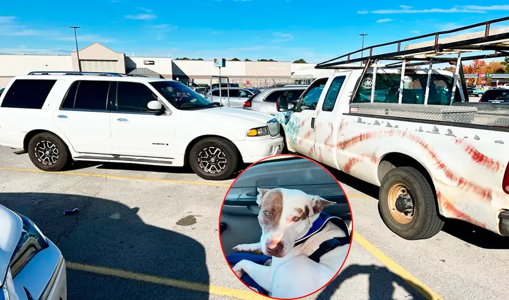 Los policías no podían creer que el perro conducía el auto. Foto: composición de LR/ captura de Facebook/@Departamento de Policía de Kilgore