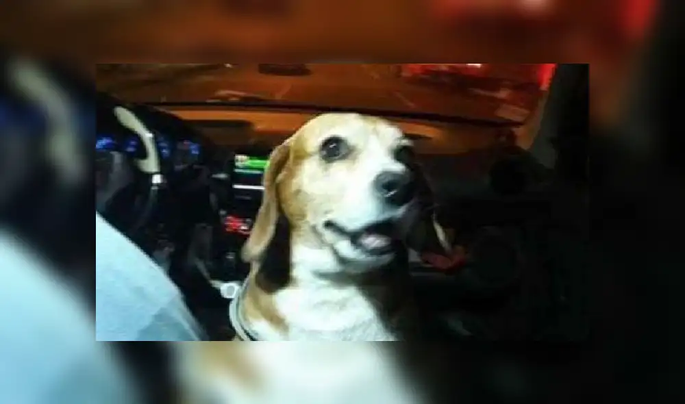 Desliza las imágenes para ver más detalles sobre esta escena que es viral en Facebook.