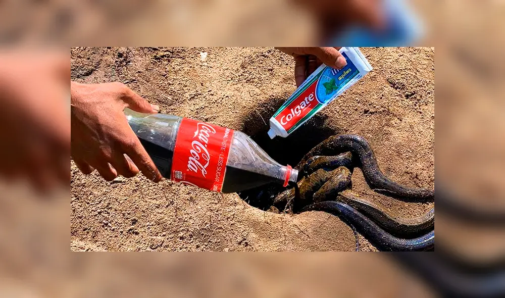 Desliza hacia la izquierda para ver el hallazgo que hizo un pescador y se volvió viral en YouTube.