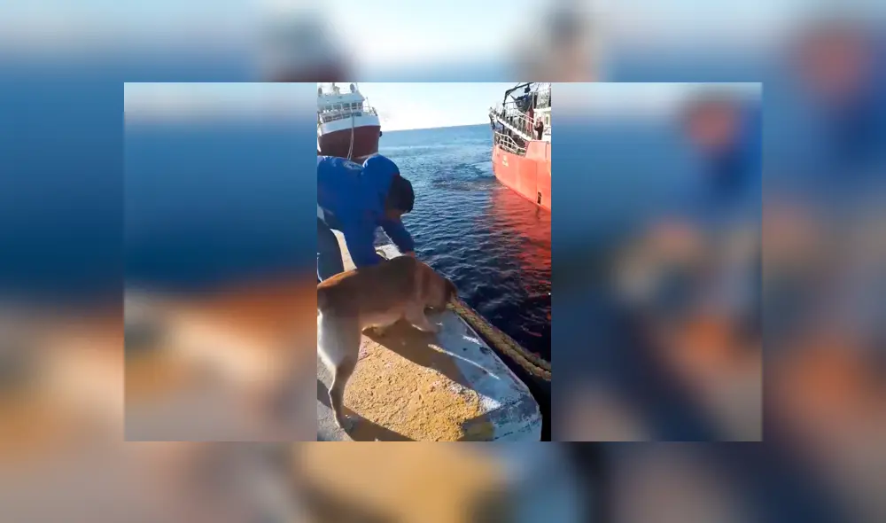 Desliza hacia la izquierda para ver más del video viral. Fotocaptura: Facebook