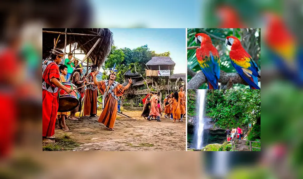 Selva peruana: descubre sus mayores atractivos Selva peruana: descubre sus mayores atractivos