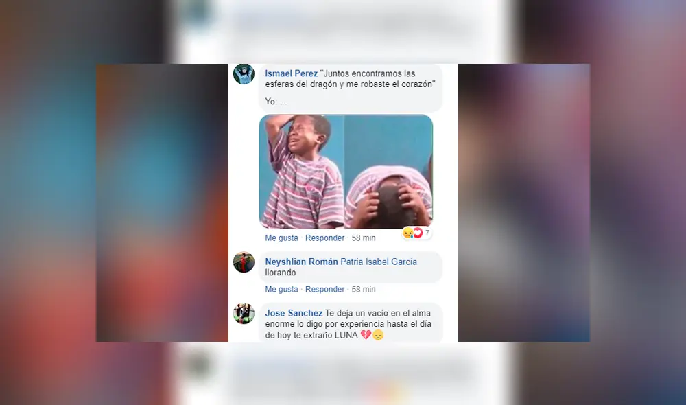 Facebook viral: fan de Dragon Ball Super se despide de su mascota con emotivo mensaje