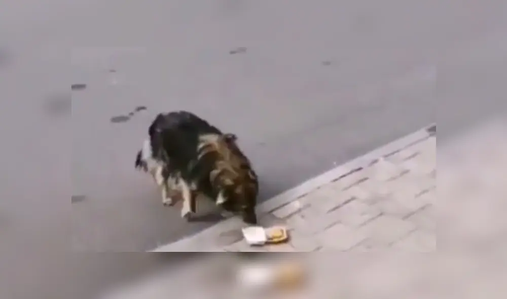 Desliza hacia la izquierda para ver más del video viral