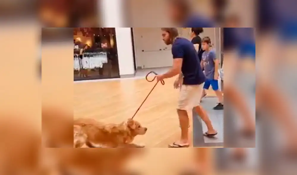 Facebook: perro se resiste a subir escalera eléctrica y su dueño tiene esta drástica medida