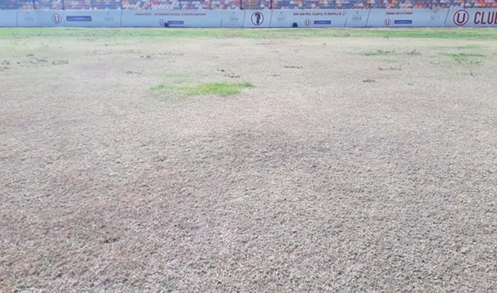 Carlos Moreno asegura que anterior administración no permite remodelación del Monumental. | Foto: Libero