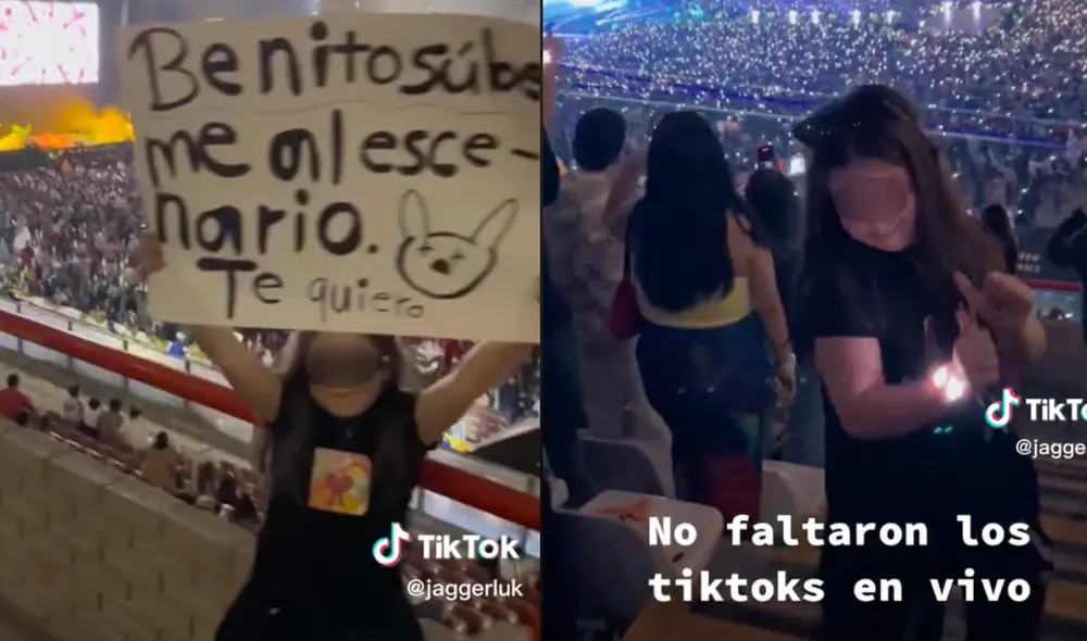 Este hecho sucedió en Perú. Foto: composición LR / TikTok / @jaggerluk Este hecho sucedió en Perú. Foto: composición LR / TikTok / @jaggerluk