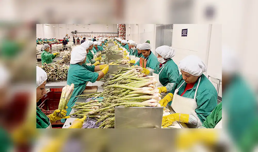 Agropecuario. Uso de pesticidas no autorizados fue la razón de la advertencia de EEUU.