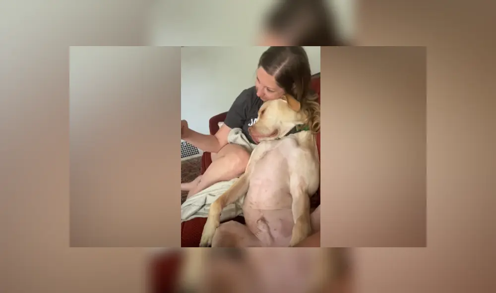 Desliza hacia la izquierda para ver las imágenes del viral de YouTube. Desliza hacia la izquierda para ver las imágenes del viral de YouTube.