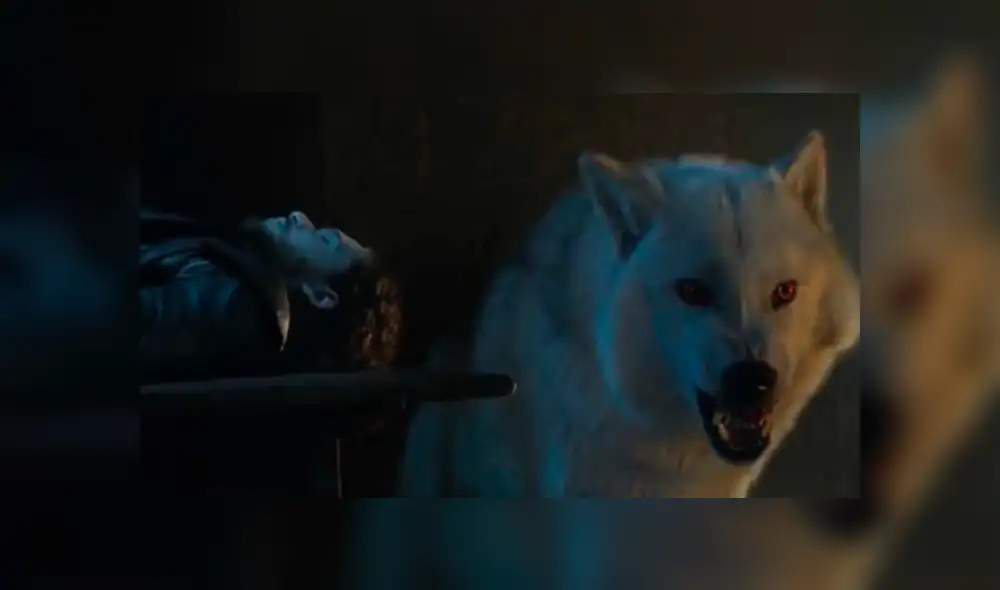 Game of Thrones: Ghost salvaría a Jon Snow en la batalla contra el 'Rey de la Noche'