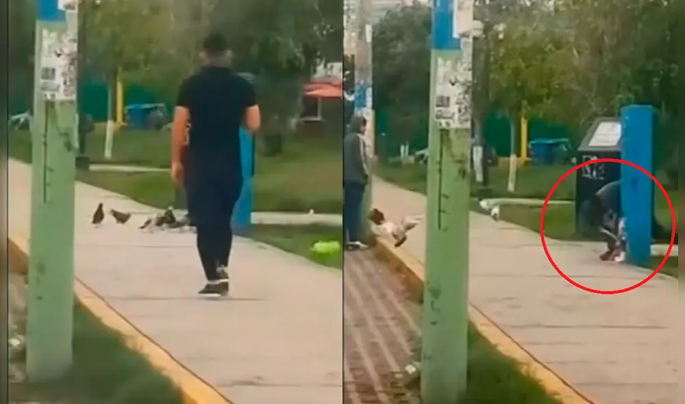 Los vecinos piden a la municipalidad que se investiguen los hechos. Los vecinos piden a la municipalidad que se investiguen los hechos.