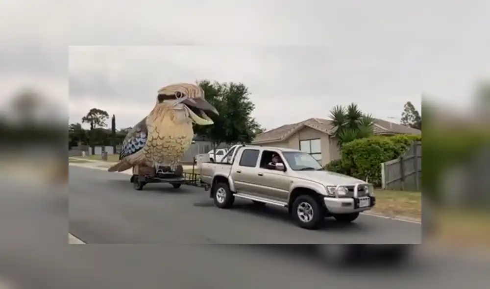 A través de Facebook se hizo viral la gigantesca escultura que hizo un hombre durante la cuarentena.
