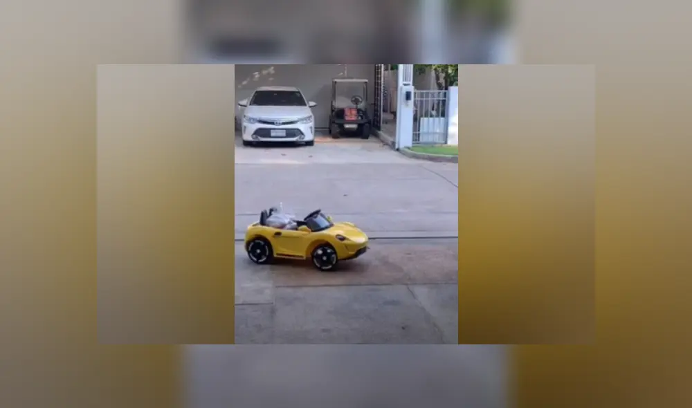 Desliza a la izquierda para ver más fotografías del peculiar recibimiento de un pedido de comida. (Foto: captura)