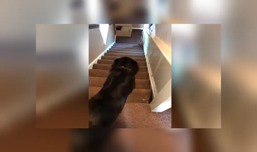 Desliza hacia la izquierda para ver las imágenes del video viral de YouTube.