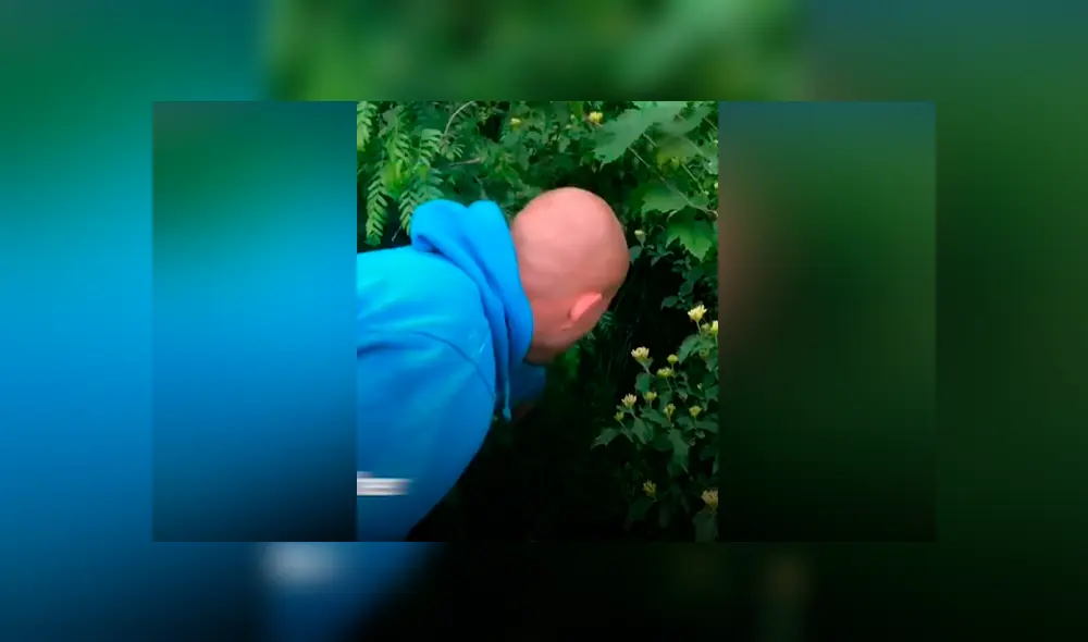 Desliza las fotografías para ver el dramático rescate que tuvo una perrita preñada cuando iba a dar a luz a sus bebés. Foto: Captura.