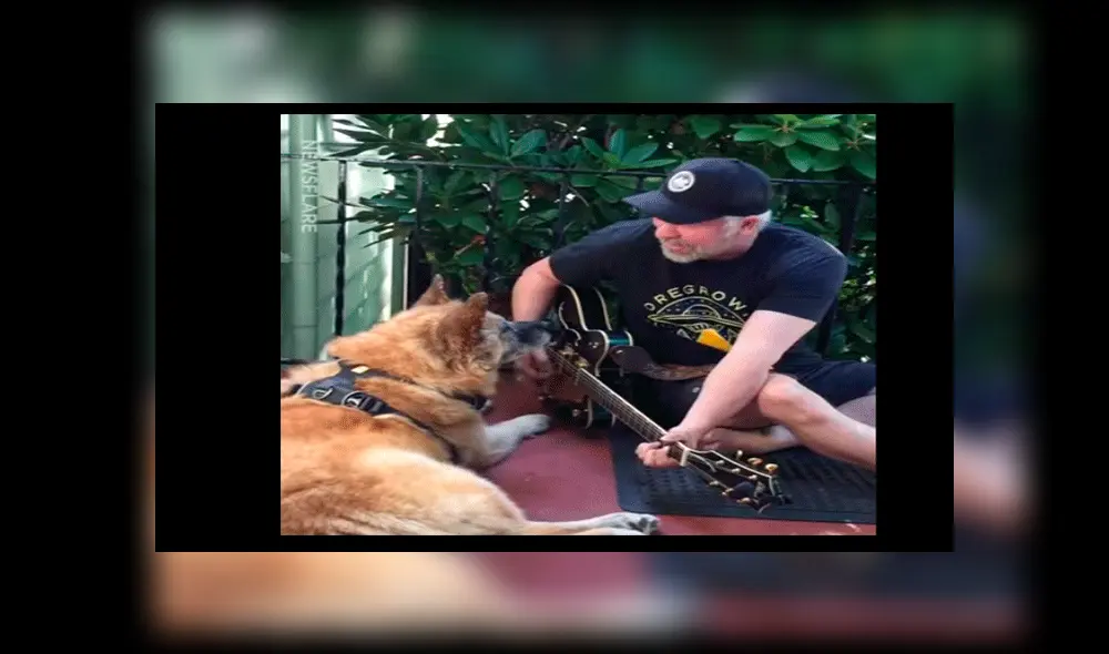 Facebook: "perro mariachi" sorprende al tocar la guitarra y se vuelve viral [VIDEO]