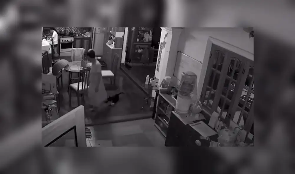 Desliza hacia la izquierda para ver más del video viral. Fotocaptura: YouTube