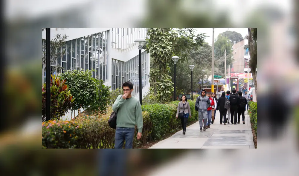 Bachiller automático