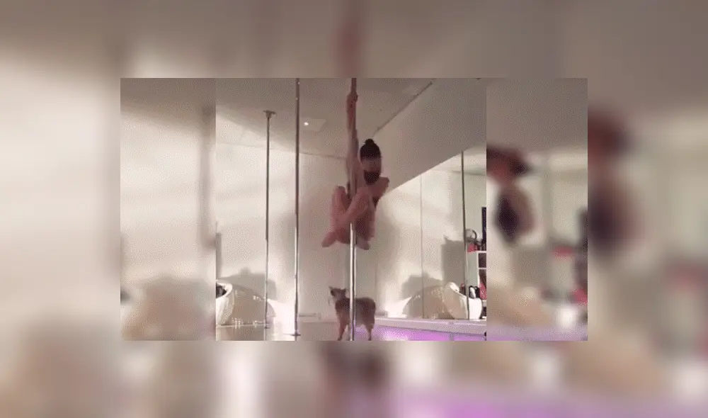 YouTube viral: bella joven hace sexy baile de ‘pole dance’ y su perro le arruina su presentación [VIDEO]