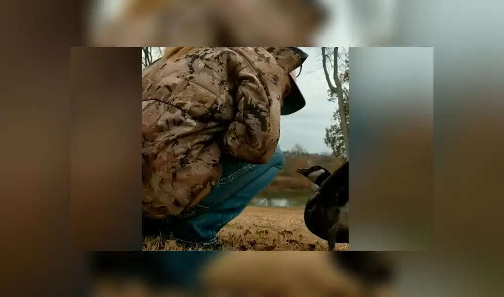 El ave pudo tener su primer vuelo tras haber sido rescatado de un lugar en el que le impedían desprender sus alas. Foto: captura