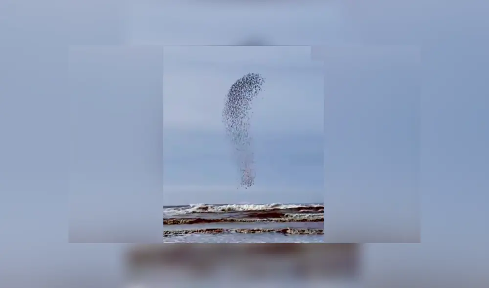 YouTube viral: capta extraña ‘mancha’ que se mueve en el cielo, hace zoom y descubre algo maravilloso [VIDEO]