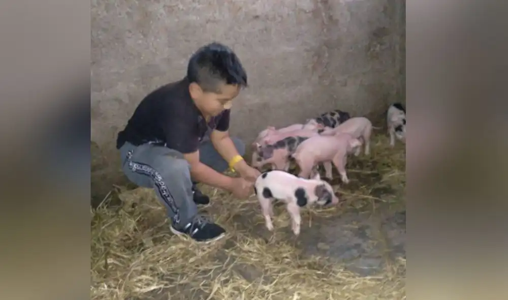 Desliza las imágenes para ver más sobre esta historia que conmovió a miles en redes sociales. Foto: captura de YouTube