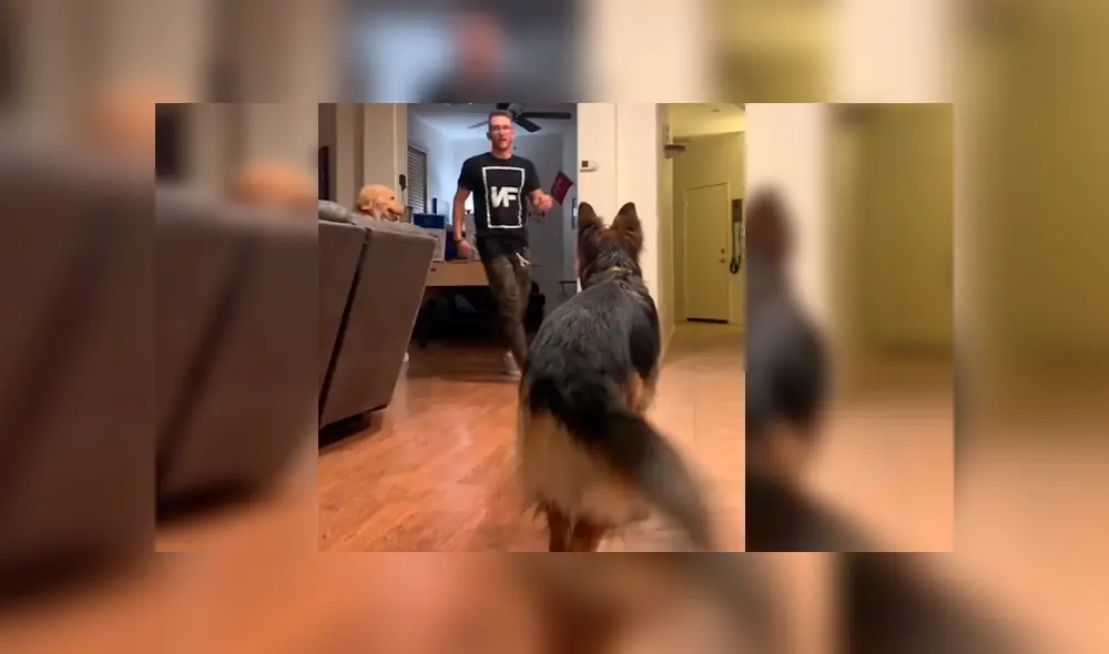 Hombre se desvaneció delante de sus mascotas para ver cómo reaccionaban en caso necesitara ayuda. El curioso desenlace se hizo viral en Facebook Hombre se desvaneció delante de sus mascotas para ver cómo reaccionaban en caso necesitara ayuda. El curioso desenlace se hizo viral en Facebook