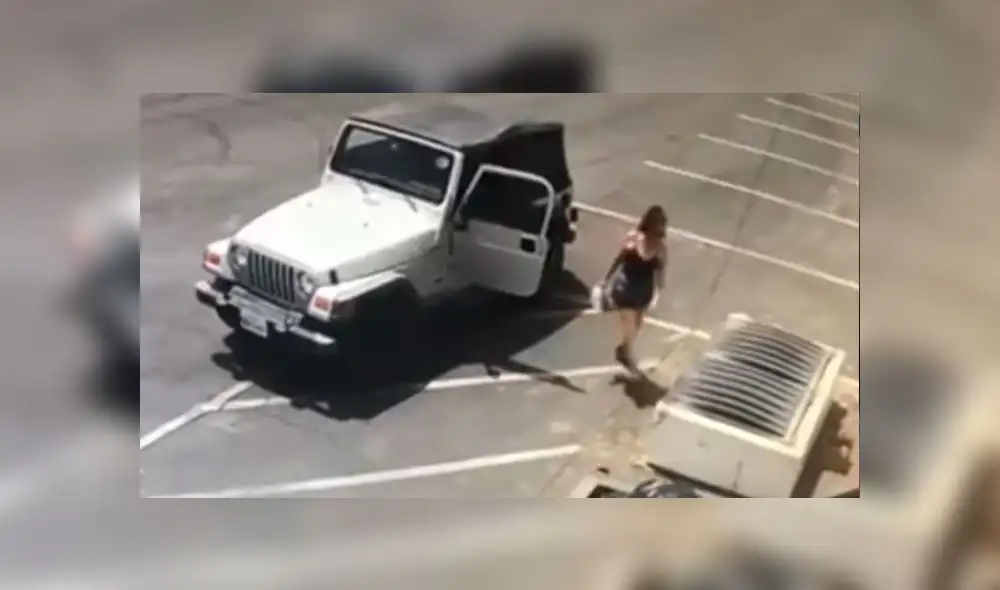 Condenan a un año de cárcel a mujer que arrojó una bolsa con cachorros a la basura [VIDEO]