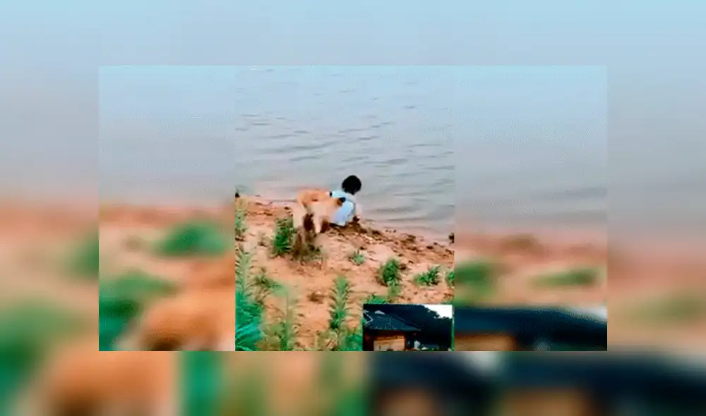 Facebook viral: niña se aproxima a peligroso río para sacar pelota y su perro llega a su rescate [VIDEO] 
