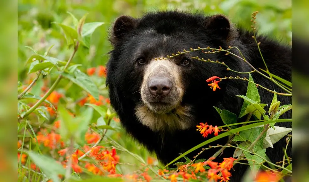 Nos hacen un llamado a la rápida acción. Fuente: Difusión