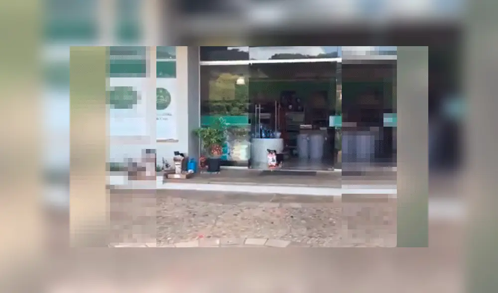 ‘Perrito’ roba comida de Petshop y causa sensación en las redes sociales [VIDEO]