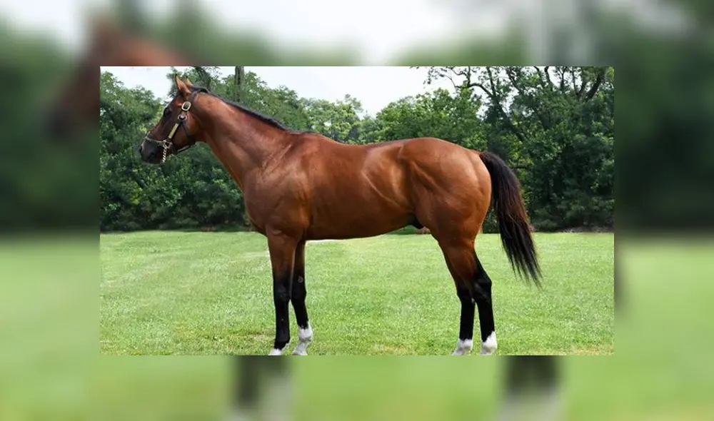 Piden que se haga justicia. Foto: Instagram. Piden que se haga justicia. Foto: Instagram.