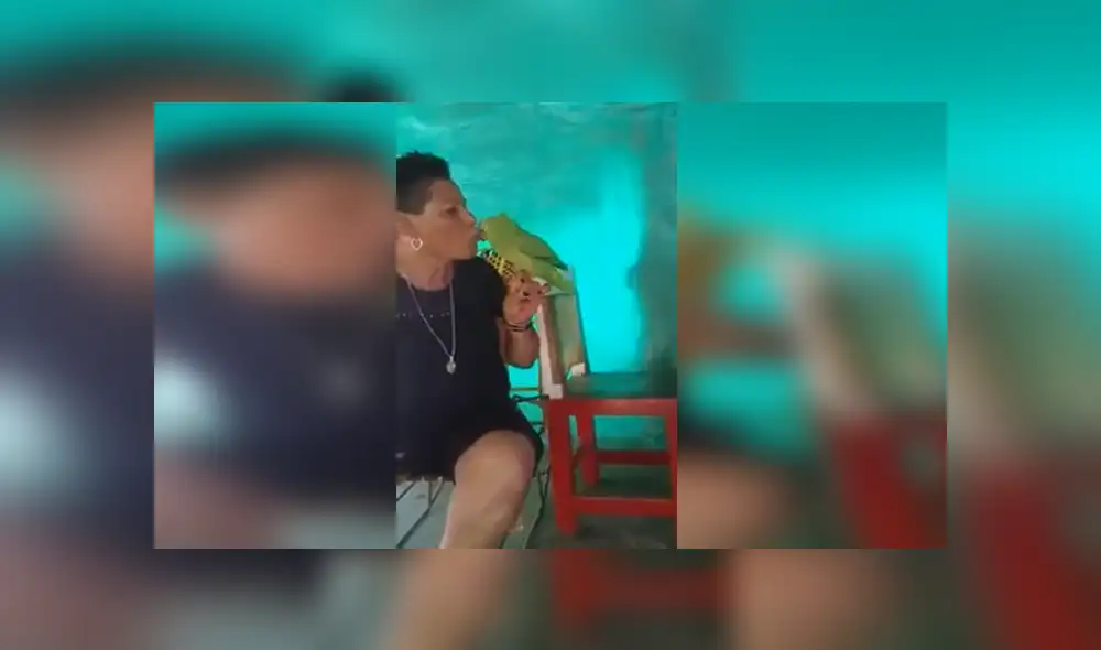 Desliza para ver los detalles del video viral publicado en YouTube. Foto: Captura.