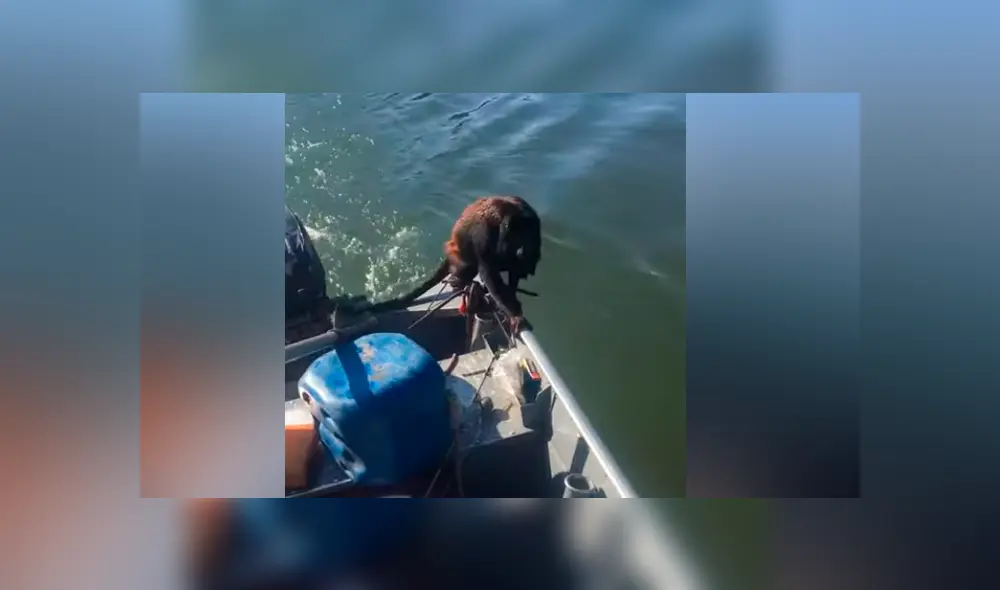 Hombre encuentra extraño ser ahogado en lago, arroja salvavidas y pasa lo inesperado [VIDEO]