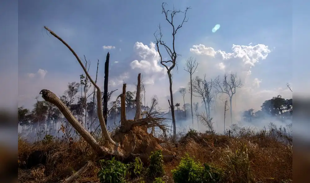 Incendio en Amazonas. Foto: AFP.