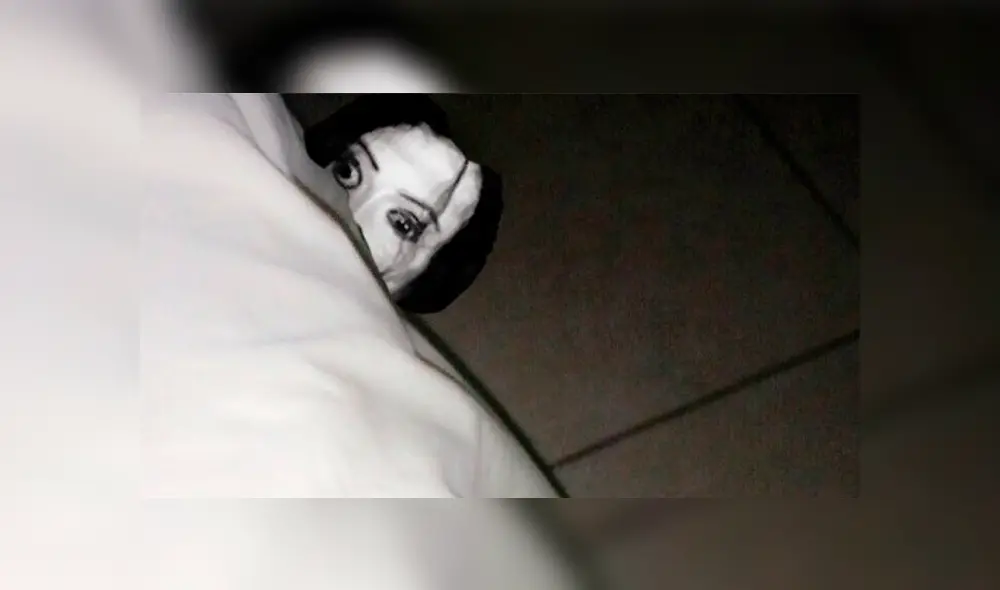 Ayuwoki: autoridades emiten alerta en México por el terror causado [VIDEO]