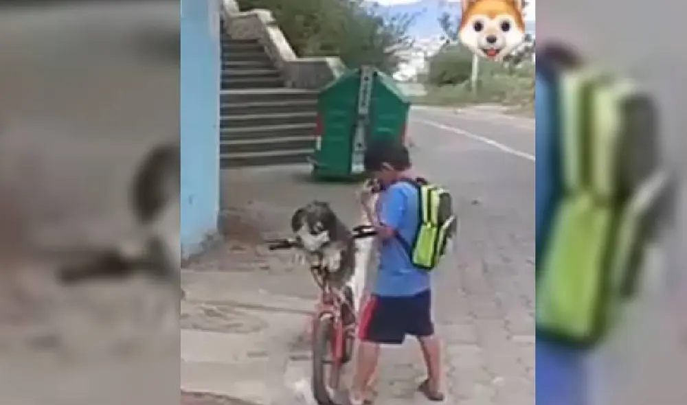 Las imágenes del niño poniéndose mascarilla y a su perro han dado la vuelta al mundo. Foto: Captura/Facebook/San Bartolomé Pinillo Las imágenes del niño poniéndose mascarilla y a su perro han dado la vuelta al mundo. Foto: Captura/Facebook/San Bartolomé Pinillo
