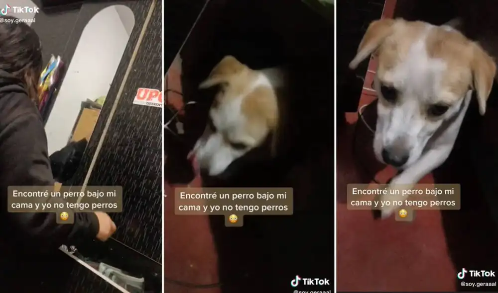 El video ha sumado más de dos millones y medio de reproducciones en TikTok. Foto: composición LR/captura de TikTok/@soy.geraaal El video ha sumado más de dos millones y medio de reproducciones en TikTok. Foto: composición LR/captura de TikTok/@soy.geraaal