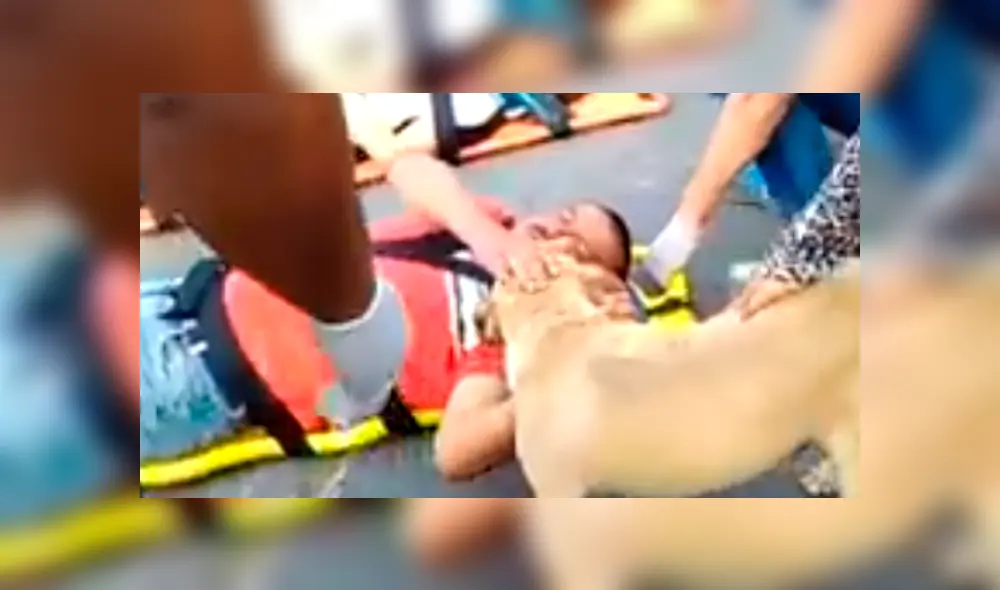 En YouTube, un perro demostró su lealtad al no querer desamparado su dueño, quien fue víctima de un accidente. En YouTube, un perro demostró su lealtad al no querer desamparado su dueño, quien fue víctima de un accidente.