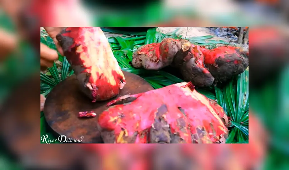 YouTube viral: encuentran extraña papá gigante, la cocinan y realizan exquisito platillo