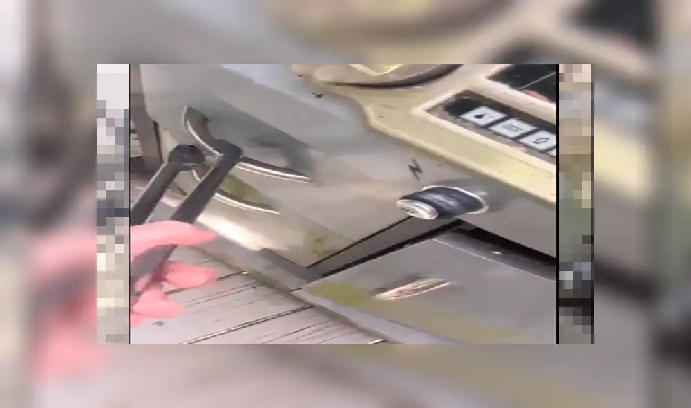 Facebook: escucha extraños ruidos en su cocina, revisa y descubre misteriosas criaturas [VIDEO]