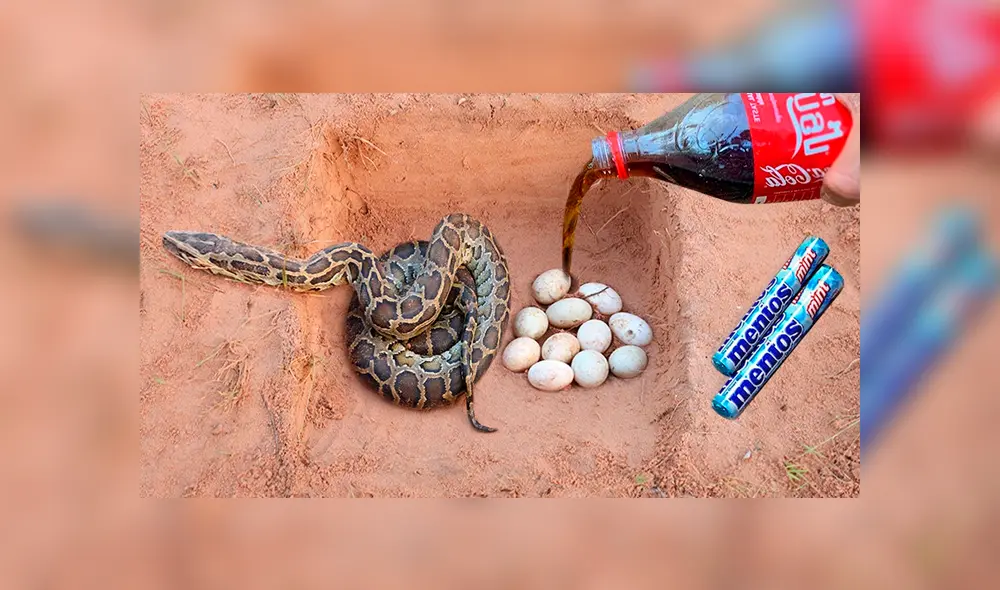 Desliza hacia la izquierda para ver el inesperado hallazgo que se volvió viral en YouTube.