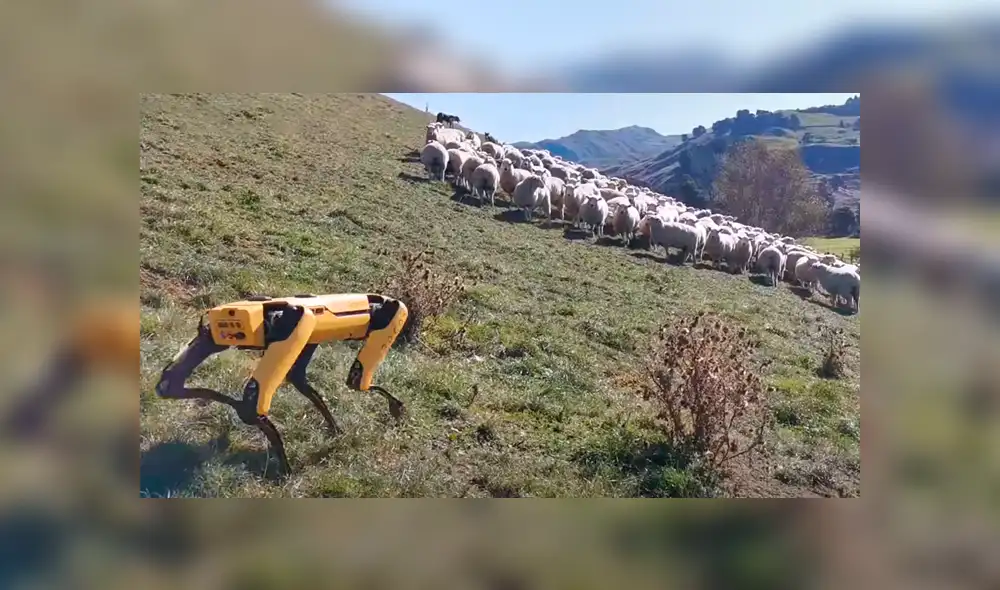 Desliza la imagen compartida en YouTube para verlas todas. (Foto: Rocos)