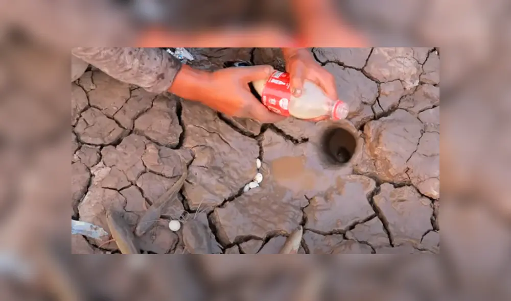 Desliza hacia la izquierda para ver las imágenes del viral de YouTube.