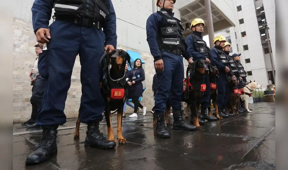 Imágenes del Simulacro Nacional de Sismo y Tsunámi [FOTOS]