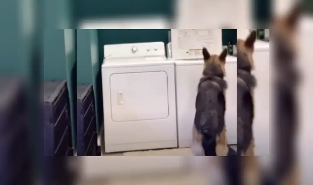 Desliza hacia la izquierda para ver más del video viral Desliza hacia la izquierda para ver más del video viral