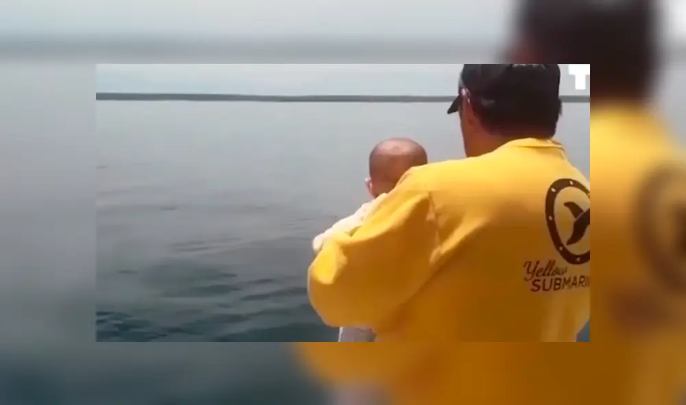 Osado papá acercó a su hija al mar buscando tener algún avistamiento de criaturas marinas, sin imaginar que tendría una impactante experiencia que ha sorprendido al mundo